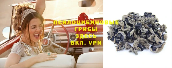 ПСИЛОЦИБИНОВЫЕ ГРИБЫ Иннополис