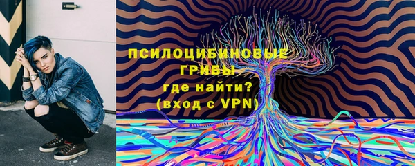 ПСИЛОЦИБИНОВЫЕ ГРИБЫ Иннополис