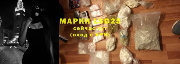 ПСИЛОЦИБИНОВЫЕ ГРИБЫ Иннополис