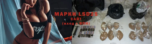 первитин Инсар