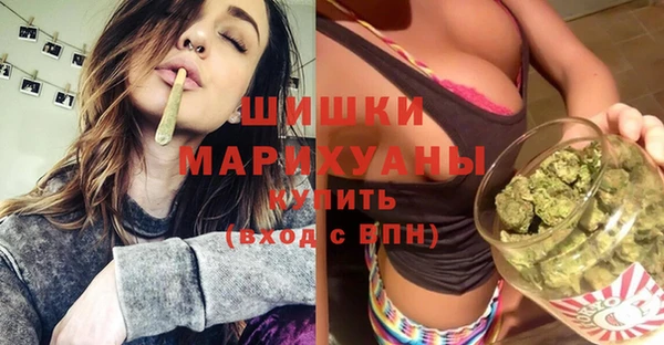 первитин Инсар