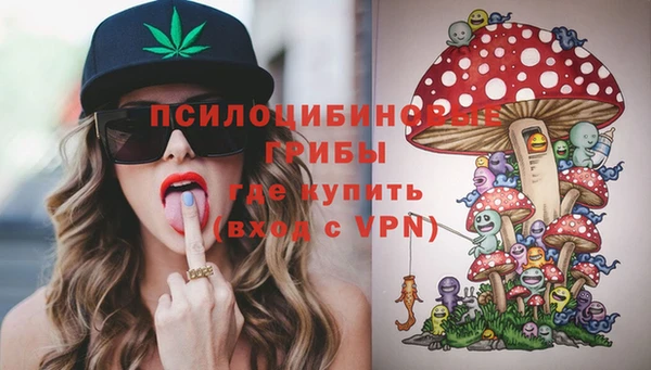 первитин Инсар