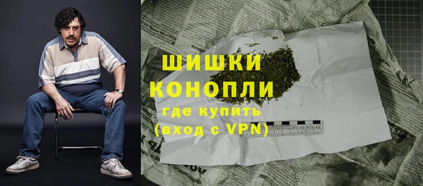 ПСИЛОЦИБИНОВЫЕ ГРИБЫ Иннополис