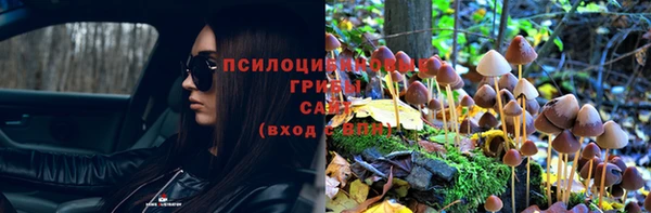 первитин Инсар