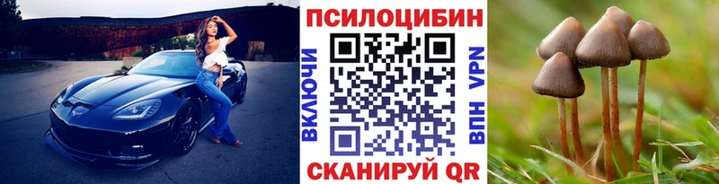 Псилоцибиновые грибы мицелий Купить закладки Ставрополь